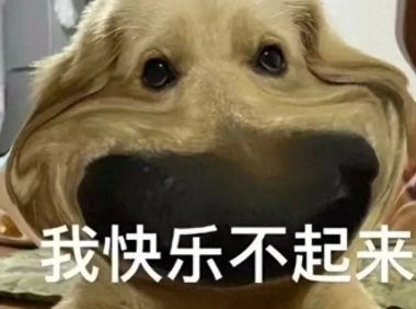 狗狗忍痛的 8 大表现，主人可别忽视了！