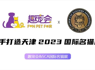 趣宠会&SCA携手打造天津2023国际名猫展