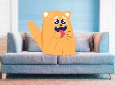 诊断猫咳嗽：兽医建议和治疗方案