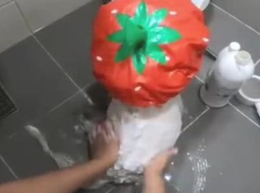 给小狗买来一个草莓苗浴帽,小宝贝带著遮阳帽老老实实洗澡的模样,太萌了