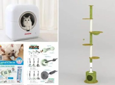 从CIPS宠物展，看宠物行业未来发展新趋势