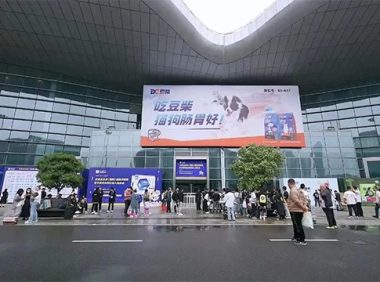 武汉国际潮宠展开展三天，人气持续火爆 绽放别样精彩!