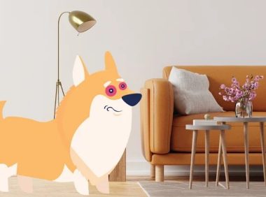 狗狗的红眼病(结膜炎):症状与原因