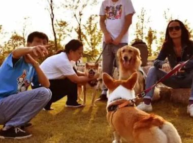 未来趋势：爬宠基因检测与健康预防