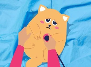 10 种常见的猫科疾病及您需要做的事情