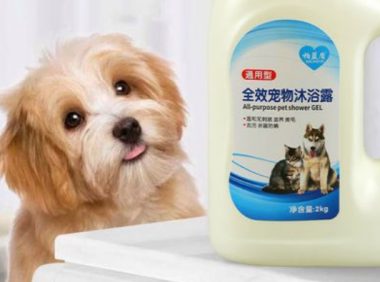 宠物和人类的沐浴露有什么区别？来看看吧
