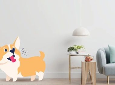 狗狗充血性心力衰竭：病因、症状和治疗