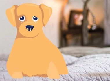 犬瘟热：病因、症状与治疗方法