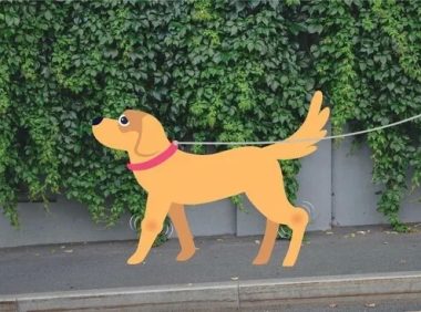 狗狗关节炎：病因、症状和治疗方法