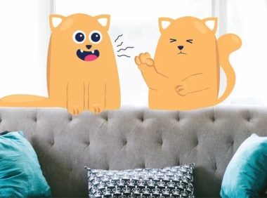 哪些猫科疾病会通过空气传播？