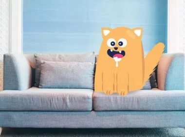 猫狂犬病:病因、症状和治疗