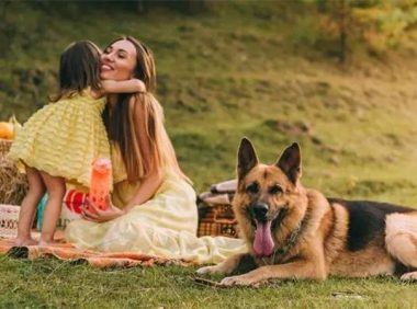 怎么确认德国牧羊犬认主人了呢