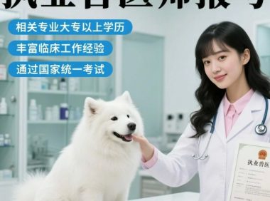 了解猫癫痫：分类、诊断和治疗策略