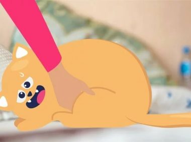 猫三体炎：病因、症状和治疗方法