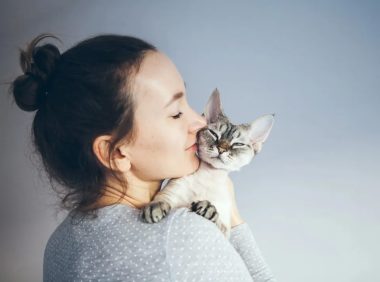 关于猫咪腹泻：常见问题解答与护理技巧