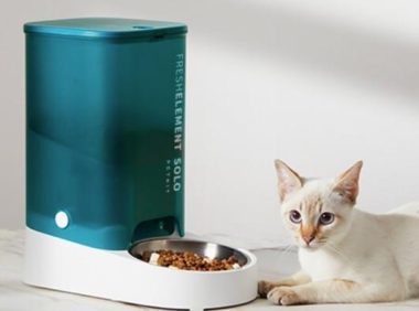 iPhone13远程搞定宠物零食机 让毛孩子保持好身材