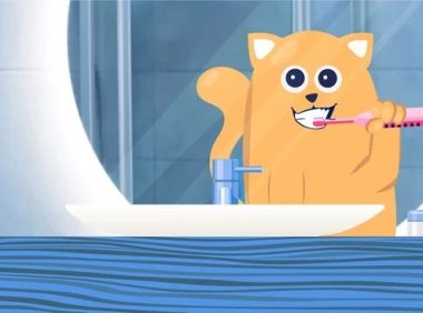 猫牙周病：病因、症状和治疗方法