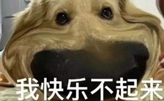 狗狗忍痛的 8 大表现,主人可别忽视了!