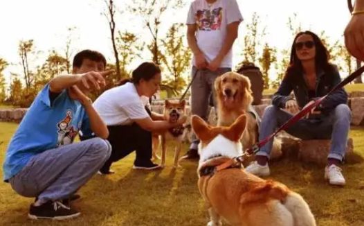 未来趋势:爬宠基因检测与健康预防