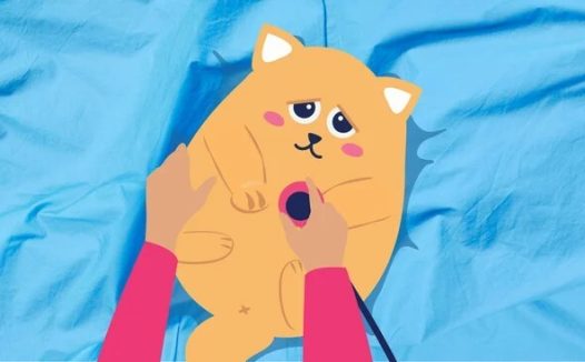 10 种常见的猫科疾病及您需要做的事情