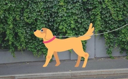 狗狗关节炎:病因、症状和治疗方法