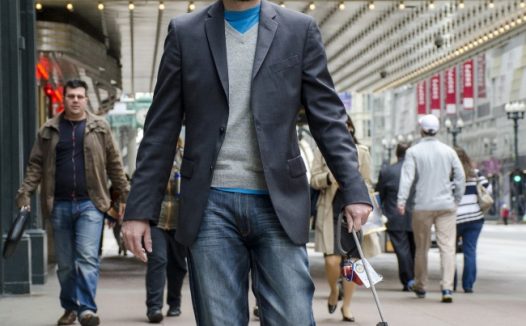 可爱比熊犬图片