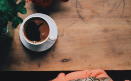 棕色虎斑猫撒娇图片