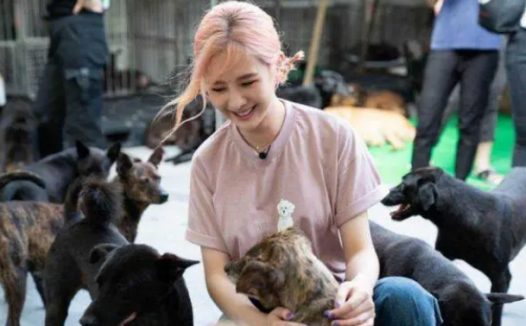 安心亚、夏和熙为流浪狗洗澡,场面温馨