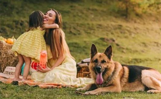 怎么确认德国牧羊犬认主人了呢