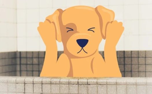 狗狗慢性中耳炎：病因、症状和治疗方法