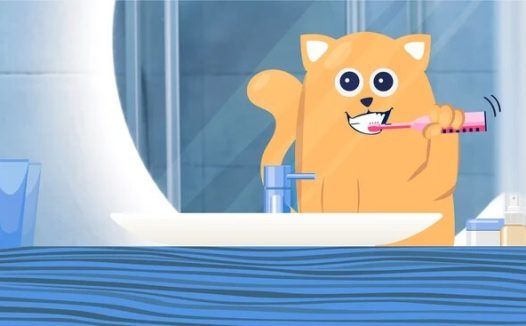 猫牙周病:病因、症状和治疗方法