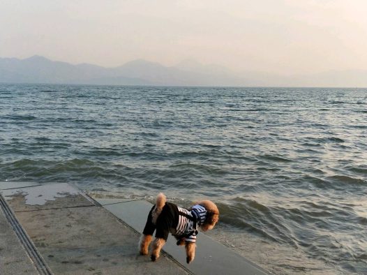 背影也能看出宝贝的心情好好[嘻嘻]家人陪伴的旅行才能这般任性[亲亲]