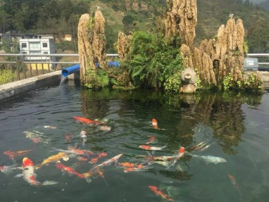 如果可以，退休后，我也想在大山里，盖一栋自己喜欢的房子，没有城市的拥挤和喧嚣，只有山中的鸟叫与虫鸣，伴着蓝天白云和清新空气；在院子里养养鱼种种菜，安详度日、回味人生。