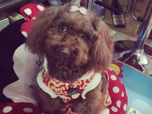 我家的天线宝宝小姨说要把这跟天线给剪了怎么可以呢？麻麻给宝宝留了两年的毛毛才留这么点呢，舍不得的呀。