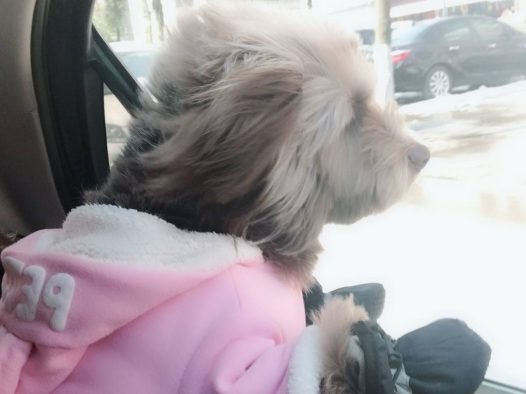 开 ！往城市边缘开 把车窗都摇下来 用速度换一点痛快孤单 被热闹的夜赶出来却无从告白 是你留给我的悲哀哦 ~