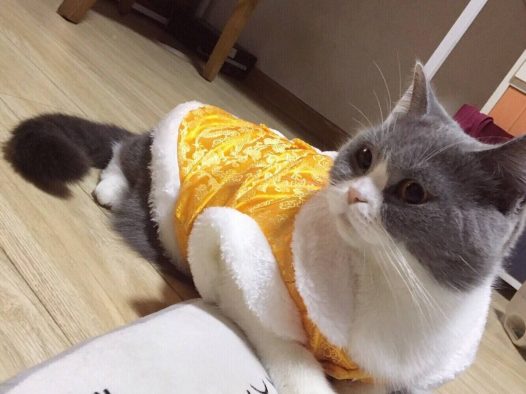 哀家乏了,尔等跪安吧。 容嬷嬷,送客。