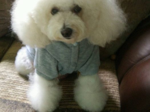 坐姿那点事，可以妩媚的坐，可以霸气的坐，可以美美的坐，可以恐惧的坐，可以稳稳的坐，还可以侧着坐，总体来说：只有你想不到的，没有我家啦啦坐不到的！