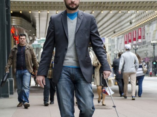 可爱比熊犬图片