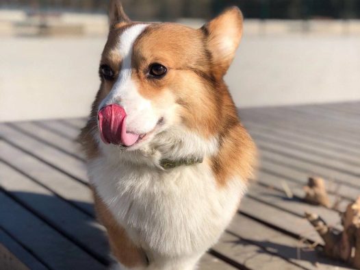 晴朗天气下的短途旅行～这个公园还不错～心情美美哒～