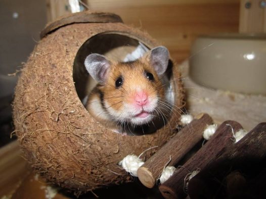 这天气只适合在被窝里