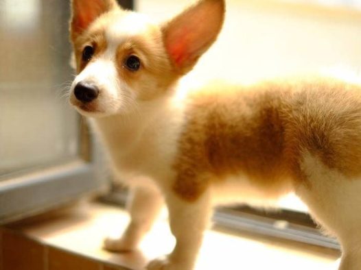 重温九月小时候