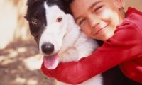 心爱斗牛犬丢失,土豪主人竟用这种方法寻狗!声称不找到绝不罢休