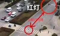宠物狗闯红灯被车撞死，狗主人向车主索赔18万？交警判罚让人拍手称快