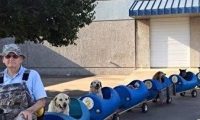 美国退休老人打造小狗列车 载流浪狗兜风