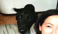 狗狗出众的气质被导演选中拍电影，她高兴又紧张：家里有演员了！