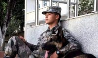 退役军犬大街上挣脱绳索,咬死路人!调查结果令人落泪