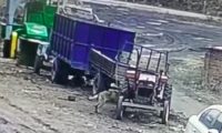 狗狗乱咬电瓶线，导致拖拉机启动撞上前方汽车