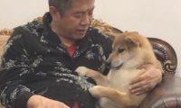 据说哈士奇不坦白?祖父坚决“联合行动”,小狗被管得服服帖帖