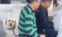 爸爸出门遛狗其实去打牌，狗狗坐在旁边一脸生无可恋：气死我了！
