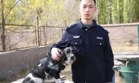 史宾格搜爆犬——米乐